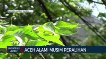 Aceh Alami Musim Peralihan