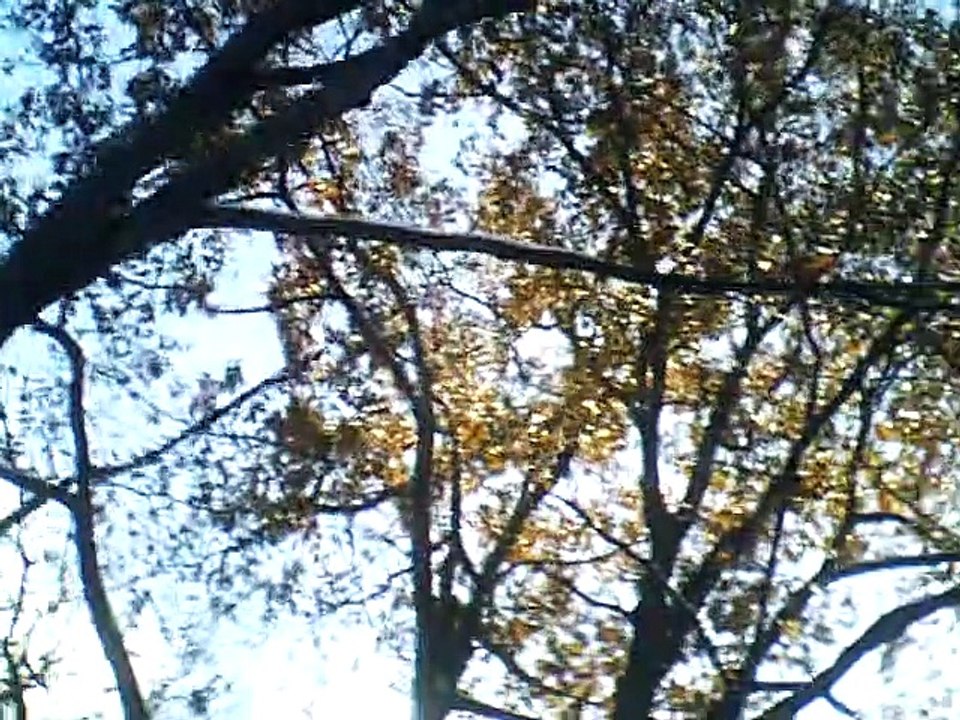 spinnerliedchen accompaniement
