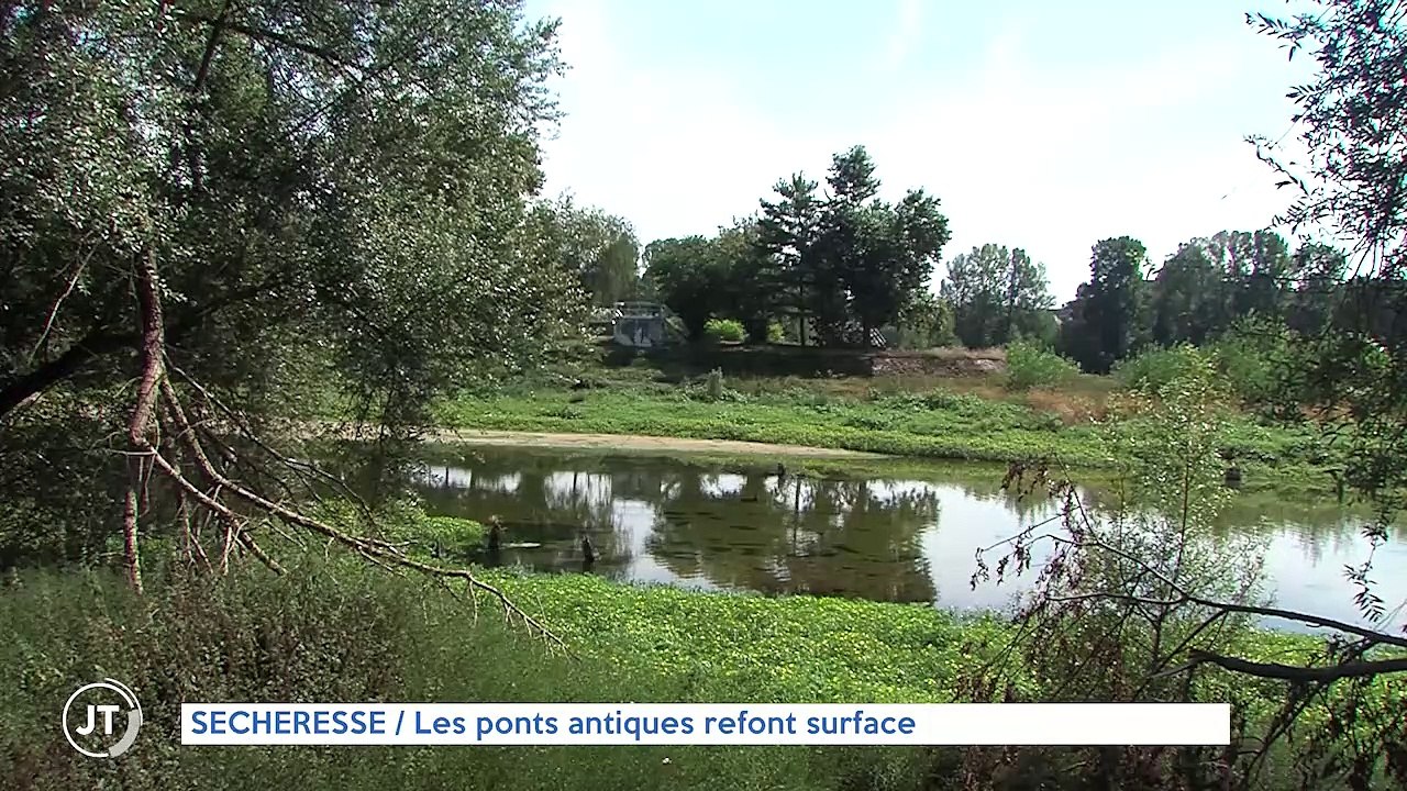 SÉCHERESSE / Les ponts antiques refont surface dans la Loire