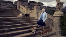 Los corgis de Isabel II preocupan a los animalistas. ¿Quién cuidará de ellos ahora?