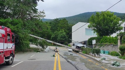 부산서 SUV 전봇대 들이받아...193가구 한때 정전 / YTN
