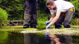 Eutrophication - How Dead Zones Form And How To Fix it
