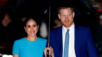 Prince Harry and Meghan Markle: Why They Won't Have A Third Child