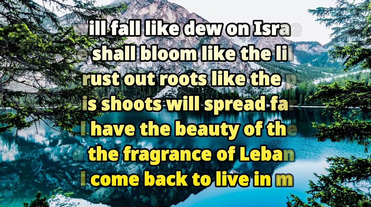 Shining a Light on Sunday mass today, daily mass today, daily mass in english today // catholic prayers for today's mass readings // daily mass in english today // catholic mass online today // daily online mass