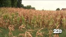 Ending agricultural burning across the valley