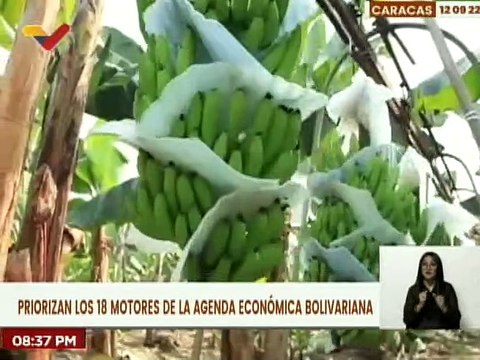 En la Expo Feria Científica, Tecnológica e Industrial asistirán en Venezuela 84 empresas iraníes