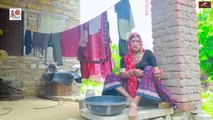 देशी मारवाडी कोमेडी || पायल रंगीली, गुलाब बाई || राजस्थानी कोमेडी विडियो || Rajasthani Marwadi Comedy 2022 - FULL HD Video