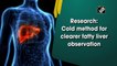 Research: New technique developed for clearer fatty liver observation