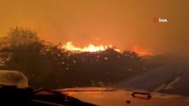 Fransa'da orman yangını evlere sıçradıToplam bin 300 hektar alan yandı, 540 kişi tahliye edildi