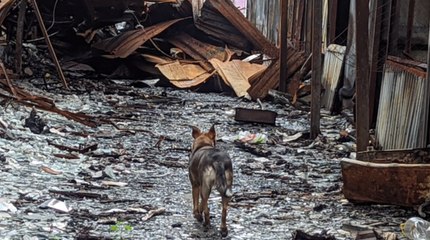 Leichen mit Folterspuren bei Charkiw gefunden