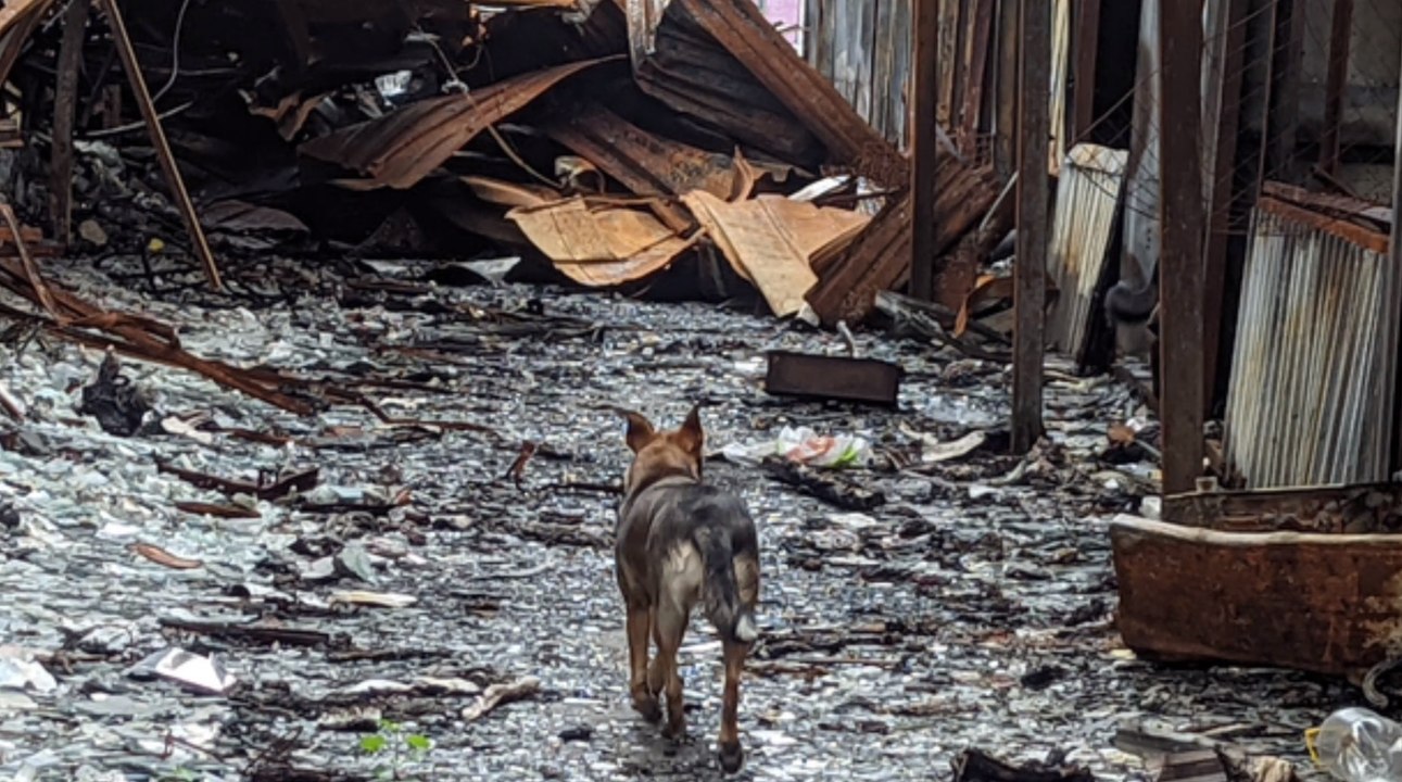 Leichen mit Folterspuren bei Charkiw gefunden