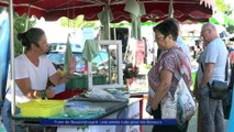 Reportage - Foire de Beaucroissant : une année rude pour les éleveurs