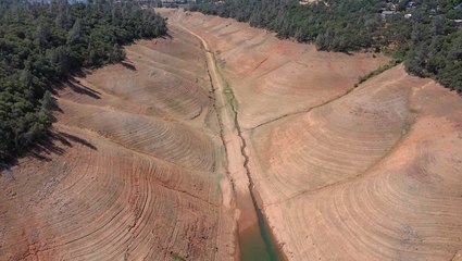 Dwyane Wade And Gabrielle Union Respond After Going 1,400% Over Their Water Allotment During Drought
