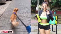 Malaika Arora की एक कुत्ते ने उतारी नकल, Actress ने दिया ऐसा Reaction, video viral