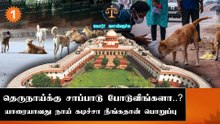 தெரு நாய்க்கு நாய்க்கு சாப்பாடு போடுவோர்தான் பொறுப்பு ஏற்க வேண்டும் - உச்சநீதிமன்றம்