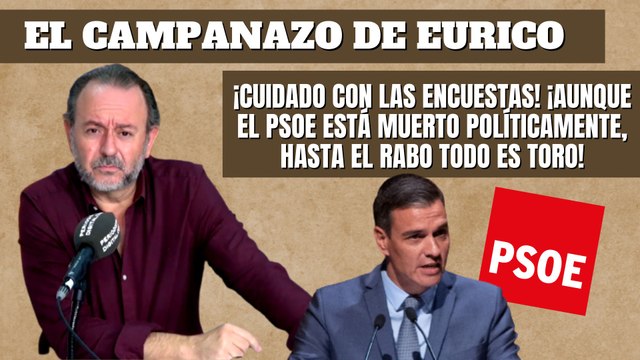Eurico Campano: ¡Cuidado con las encuestas! Aunque el PSOE está 'muerto', hasta el rabo todo es toro