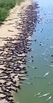 La plage où personne ne veut passer ses vacances