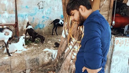 Going to humtv after 6 years I worked there