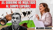 La terrible denuncia de Milagros Marcos al Gobierno: “¡Han insultado al campo español!