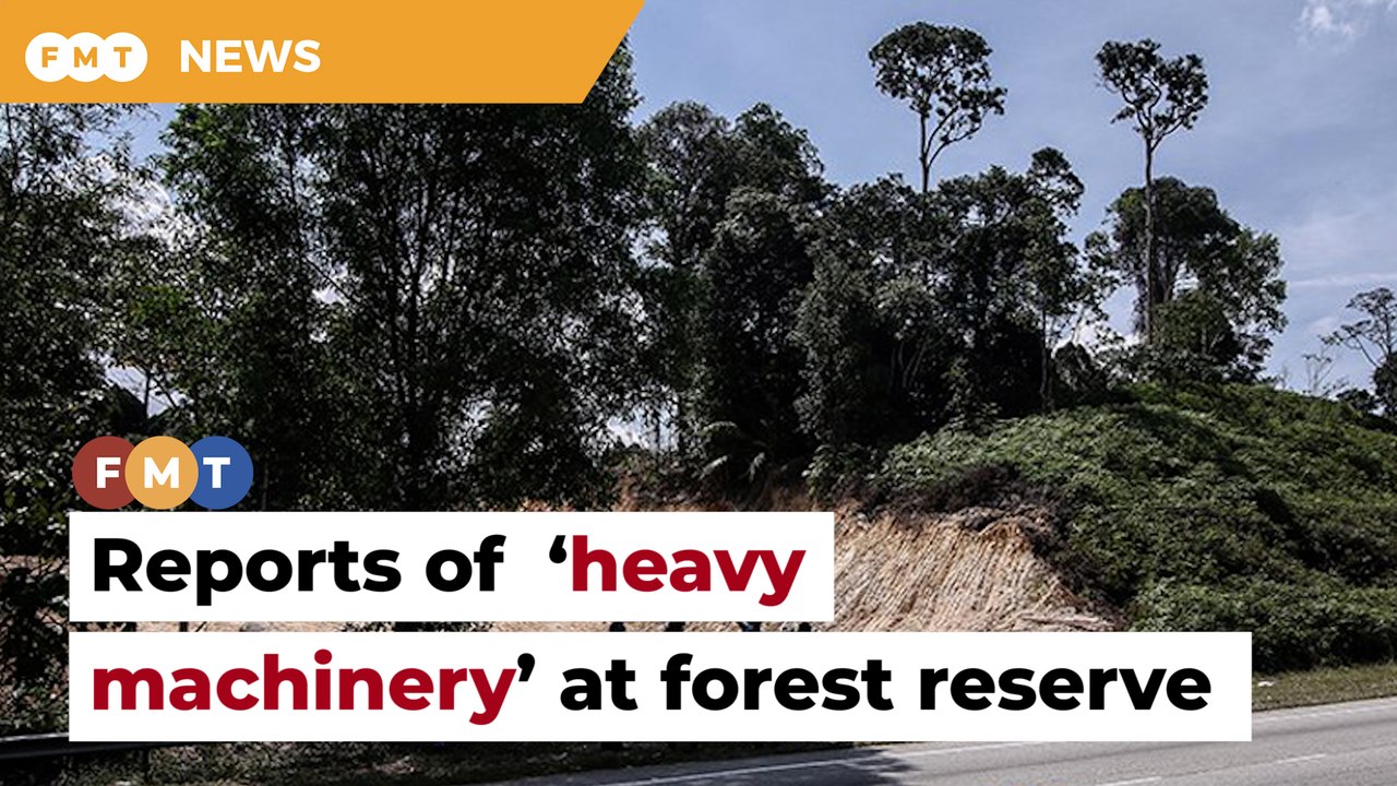 Work going on at forest reserve despite court order, NGO claims