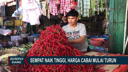 Sempat Melonjak, Harga Cabai Merah di Pekanbaru Turun, Kini Berkisar Rp75 Ribu Hingga Rp90 Ribu