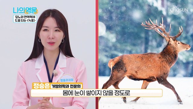 단백질•칼슘이 풍부하고 우리 몸을 지켜주는 ⌜녹용⌟ TV CHOSUN 220913 방송