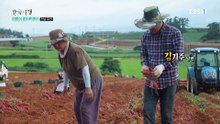 한국기행 - Korea travel_여름의 끝자락에서 2부- 여름을 캐다_#002