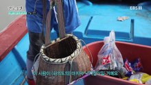 한국기행 - Korea travel_여름의 끝자락에서 2부- 여름을 캐다_#001