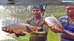 Traditional Net Catch Fishing  Village Ponds Cast Net Fishing Video - Catching Ton's of Carp Fish