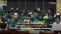 Video Effendi Simbolon soal 'Gerombolan' yang Lukai Prajurit