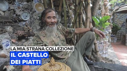 La mia strana collezione: Il castello di piatti antichi