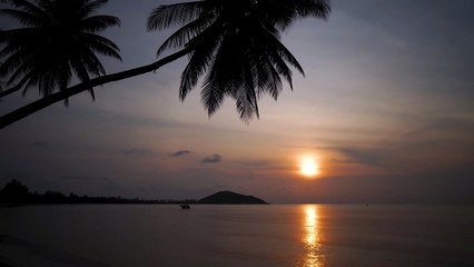 Nature sounds(relaxing waves sounds) - sunset