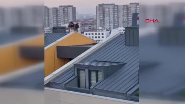 Son dakika haberi | BEYLİKDÜZÜ'NDE İŞADAMINA ŞANTAJ VE GASP YAPAN ÇETEYE POLİS BASKINI