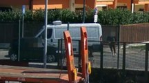 Avellino, agguato nel quartiere Quattrograna: 5 arresti (13.09.22)
