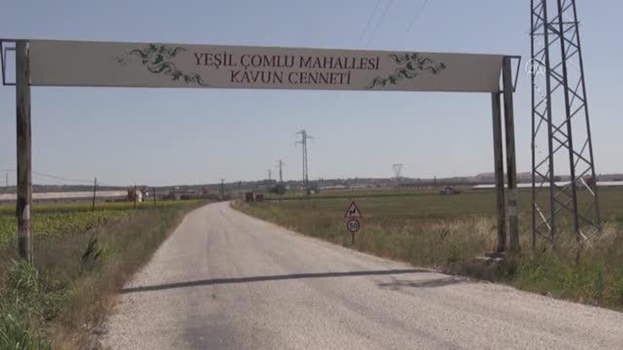 BALIKESİR - Ata tohumundan yetiştirilen "Yeşilçomlu kavunu" pazara inmeden alıcı buluyor