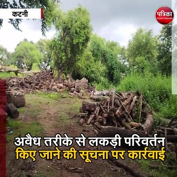कटनी : भाजपा नेता की टाल में वन विभाग की छापेमार कार्रवाई