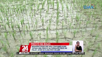 Apela ng ilang magsasaka, kahit 'wag na raw silang bigyan ng ayuda basta't bilhin sa tamang presyo ang kanilang ani | 24 Oras