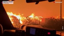 Erneut Waldbrände in Frankreich - hunderte Hektar Wald zerstört