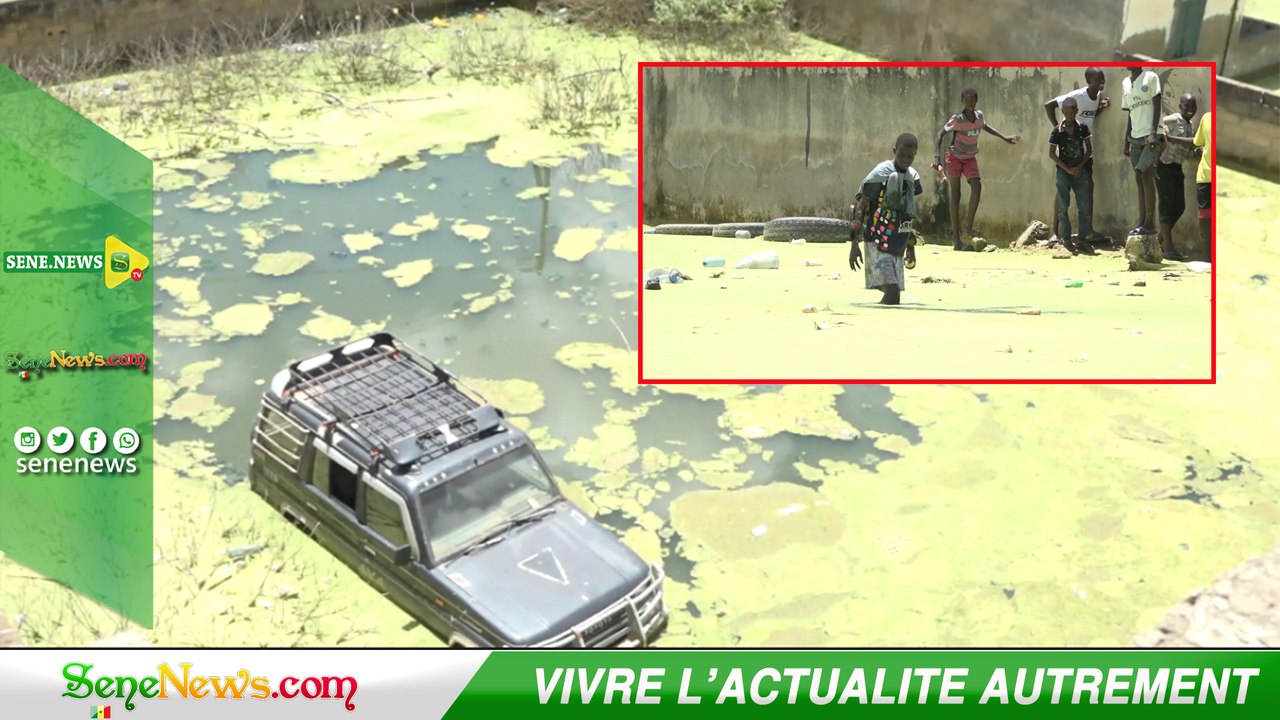 Inondations à Touba : Les pieds dans l'eau depuis un mois, le ras-le-bol des habitants de Ngiranéne