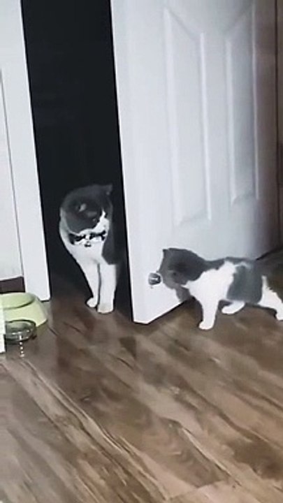 MOM I AM JUST CHECKING THE DOOR STOPPER  