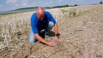 Climate crisis hits German farming