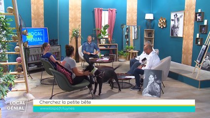 Local Génial -13/09/2022 - Cherchez la petite bête avec la SPA et chronique Europe