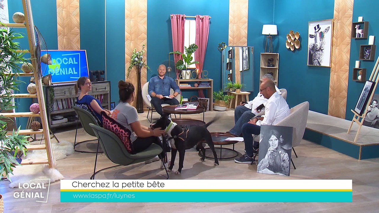 Local Génial -13/09/2022 - Cherchez la petite bête avec la SPA et chronique Europe
