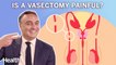 Urologist Breaks Down What Happens When You Get a Vasectomy | Ask An Expert