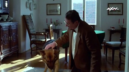 Kommissar Rex Staffel 2 Folge 10 HD Deutsch
