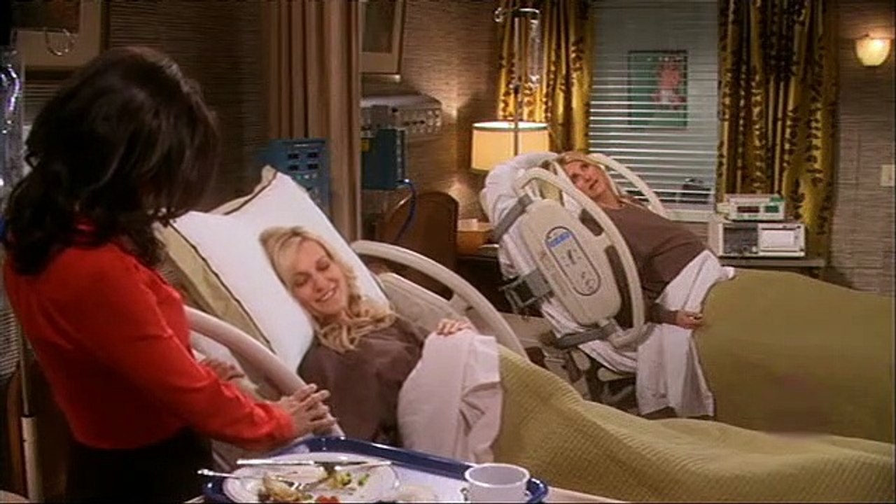 The New Adventures of Old Christine Staffel 4 Folge 18 HD Deutsch