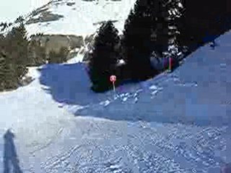 DSCN3651