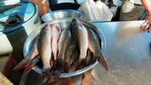 Unseen Fish Video || Attractive Fish Video || Visited For Fish || Bangladeshi Fish Video