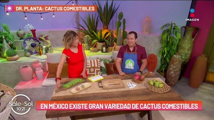 Estos son los tipos de cactus que sí se pueden comer
