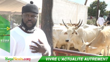 Les piques de Boucher Ketchup : "Naniou bayi di déf you niak fayda si.."